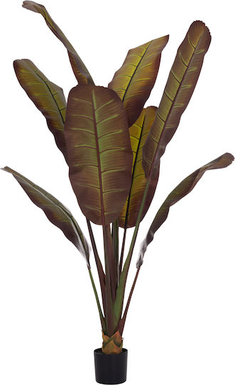 Decorative Synthetic Plant Hm4740 Japanese Banana Pot 85x75x225cm