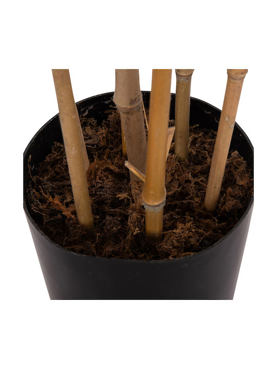 Διακοσμητικο Συνθετικο Φυτο Hm4737 Bamboo Γλαστρα 20x95x200υεκ