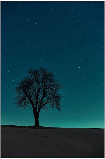 Πίνακας Lonely Tree Under A Starry Night Μοναχικό Δέντρο Κάτω Μια Έναστρη Νύχτα 60x90
