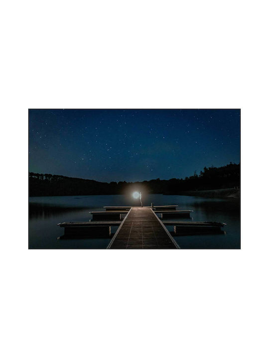 Panou Starry Night At Dock Unăstrea Noapte La Doc 120x80