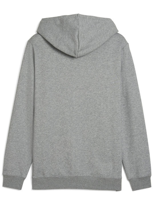 Sweatshirt with Hood Gray