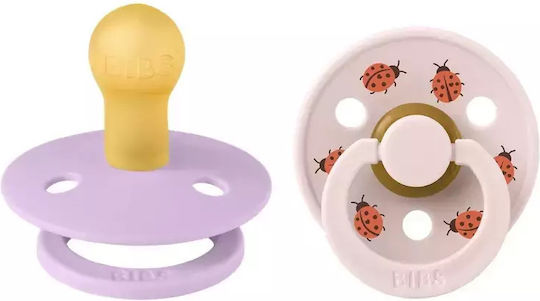 Bibs Schnuller Gummi Ladybag Violetter Himmel für 6-18 Monate 2Stück