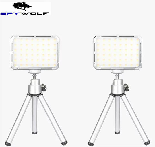 Spywolf LED Floodlight 50W Warm White