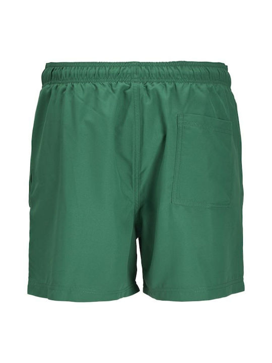 Herren Badebekleidung Shorts Evergreen