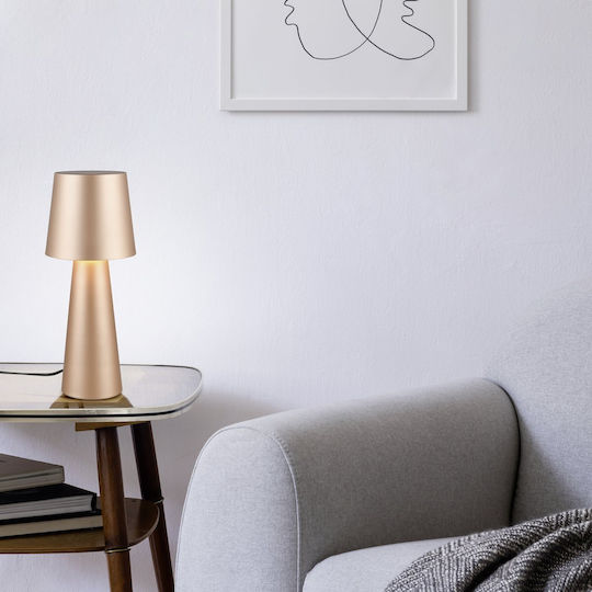 Trio Lighting Διακοσμητικό Φωτιστικό E27 16x40εκ.