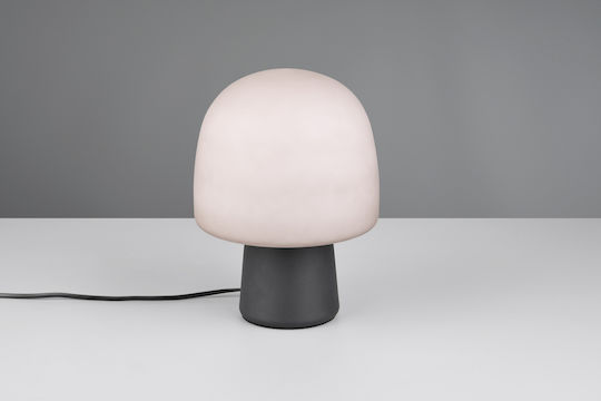 Trio Lighting Διακοσμητικό Φωτιστικό E14 20x27εκ.
