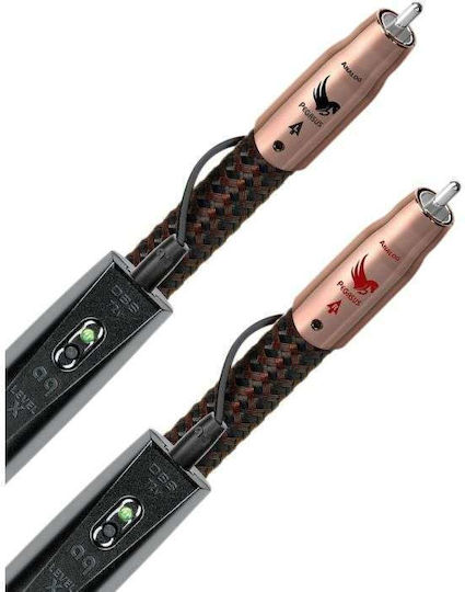 Audioquest Cable RCA male - RCA male 2m