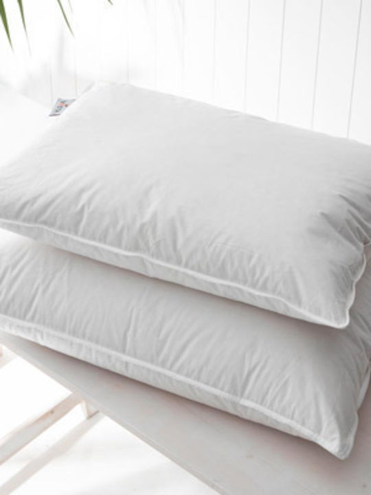 Vesta Home Royal Kopfkissen Gefiedert 50x70cm