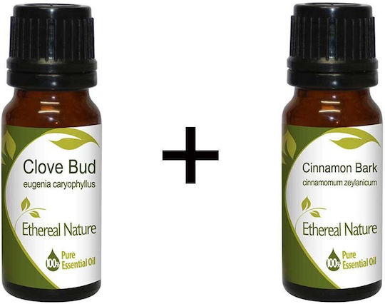 Nature & Body Oriental Αιθέριο Έλαιο Γαρύφαλλο 10ml