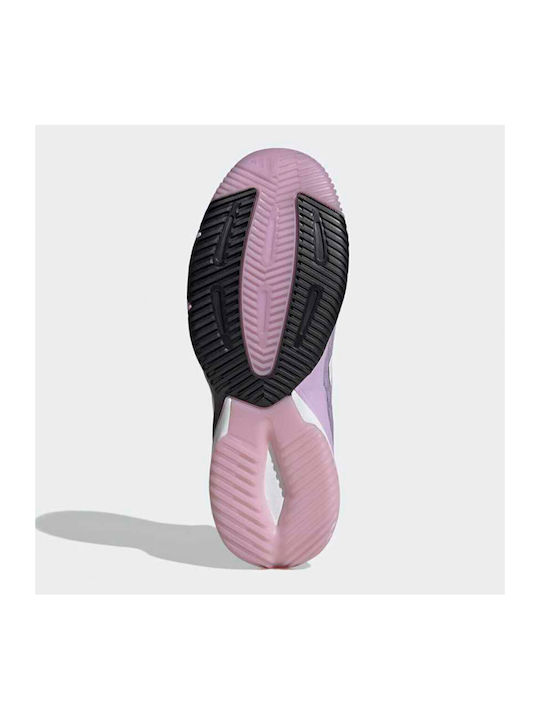 adidas Crazyflight 6 HP7027 Femei Pantofi sport Alergare Mov