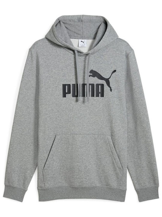 Sweatshirt mit Kapuze Gray
