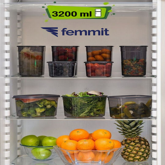 Femmit Vază Utilizare Generală 1700 Ml Cu Capac Ermetic Plastic