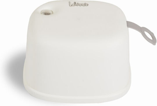 Cangaroo Scăunel Treaptă 3 1 Winnie 3800146271893