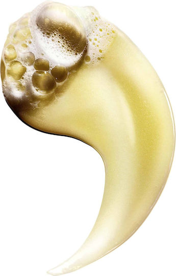 L'Oréal Professionnel Serie Expert Absolut Repair Σαμπουάν Αναδόμησης/Θρέψης για Ξηρά Μαλλιά Μαλλιά 1500ml