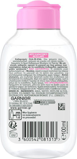 Garnier Micellar Micellar Water Makeup Remover Face & Eyes 100ml