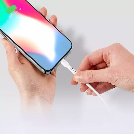 SBS USB 2.0 Cable USB-C male - USB-C 25W PD Λευκό 1m CABLETCC10W