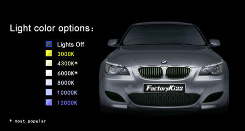 Car Lights LED Kit H1 36W 3800LM 8000K – C6 FD