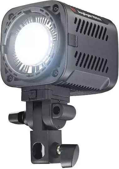 Jinbei 100W with Brightness 3600 Lux