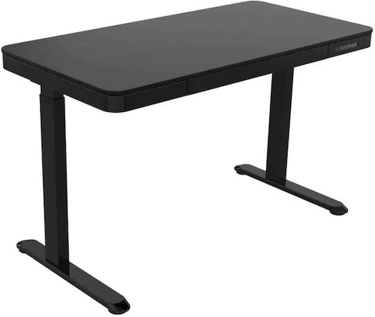 Desk Wooden Black with Metal Legs & USB ports 140x70x50cm