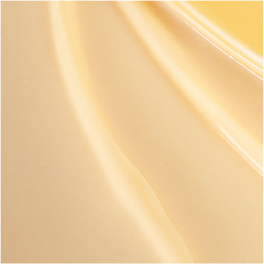 Garnier Botanic Therapy Avocado Oil & Shea Butter Conditioner Reconstruction/Nourishment for All Hair Types 200ml