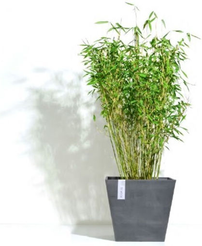 Ecopots Rotterdam Γλάστρα Πλαστική Γκρι Ecopots Rotterdam Γλάστρα Πλαστική Γκρι
