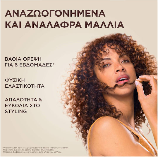 Promo Botanic Therapy Avocado Oil & Shea Butter Μάσκα Μαλλιών Επανόρθωση 300ml & Avocado Oil & Shea Butter Σαμπουάν 400ml & Avocado Oil & Shea But