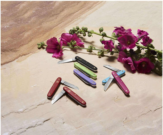 Victorinox Floral Pocket Knife 1 Tool Red