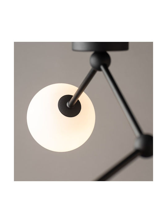 TK Lighting Fairy Висящо Осветително Тяло Черен Топка с Цокъл G9 63x30см.