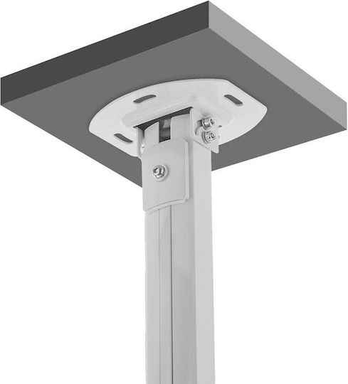 Techly Βάση Projector Οροφής ICA-PM-18M με Μέγιστο Φορτίο 13kg Ασημί