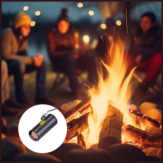 4Smarts Keychain USB 2.0 Cable USB-C male - USB-C 100W PD Μαύρο