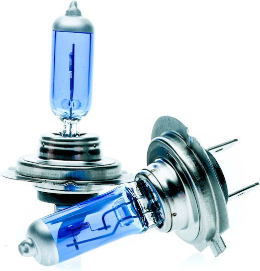Einparts Lampen Auto H7 Halogen 6000K Kaltes Weiß 12V 55W 2Stück