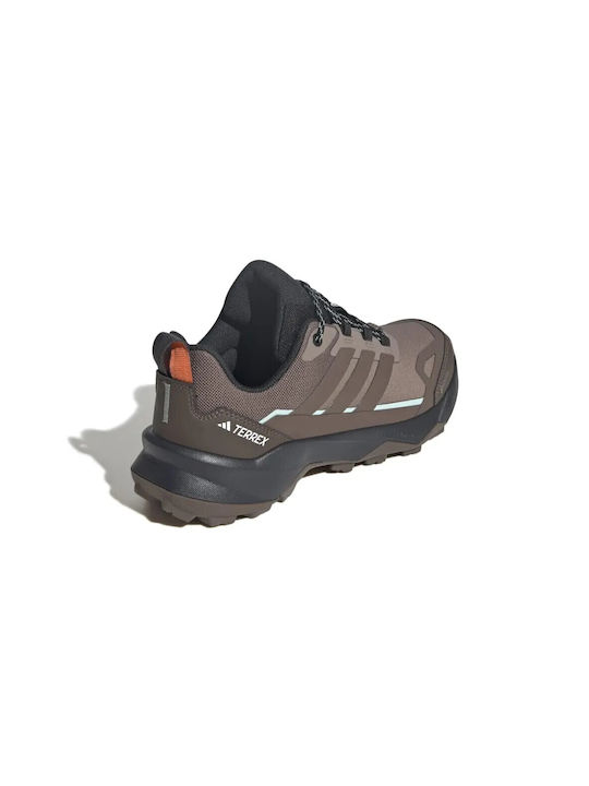 Terrex Sport Shoes Trail Running Waterproof with Gore-Tex Membrane Trace Brown / Earth Strata / Semi Impact Orange