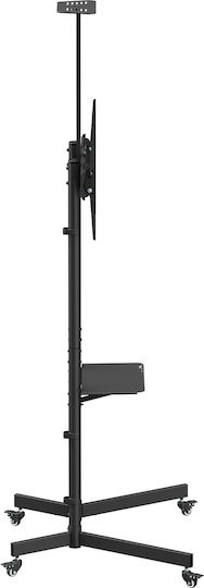 Maclean Energy MC-113 B Βάση Τηλεόρασης Δαπέδου έως 70"