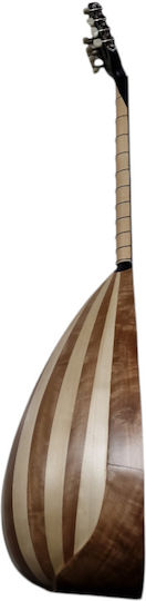 Lute