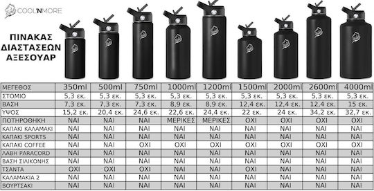 Cool'NMore Stainless Steel Thermos Bottle BPA Free 750ml Black with Mouthpiece Loop Straw and Handle