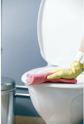 Vileda Microtuff Plus Red Cloth 169924