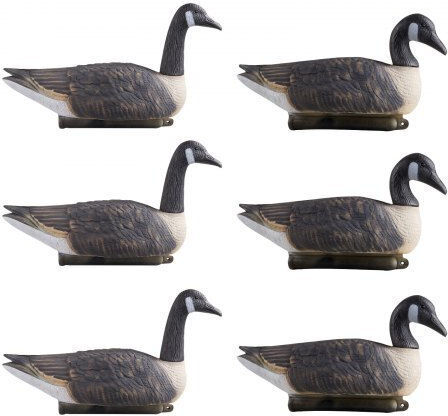 Vevor Decorative Garden 6pcs JTSLYEJNDE6JQC5BY001V0
