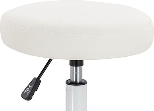 Salon Stools Scaun