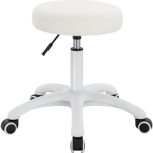 Salon Stools Scaun
