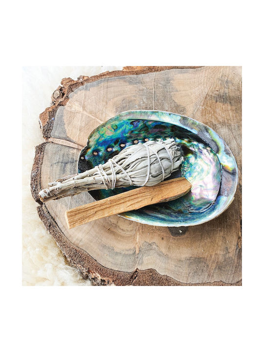 Smudge Set Palo Santo Sage Shell Space Aura Cleansing