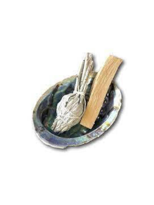 Smudge Set Palo Santo Sage Shell Space Aura Cleansing
