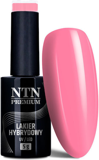 NTN Premium Semi-Permanent Nail Polish 92 5ml 1pcs
