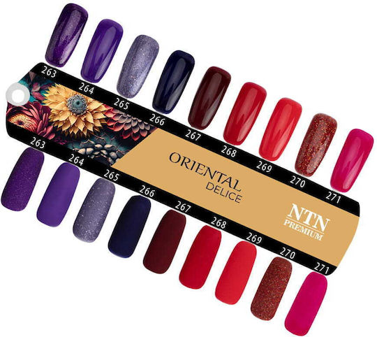 NTN Premium Halb-permanenter Nagellack 263 5ml 1Stück