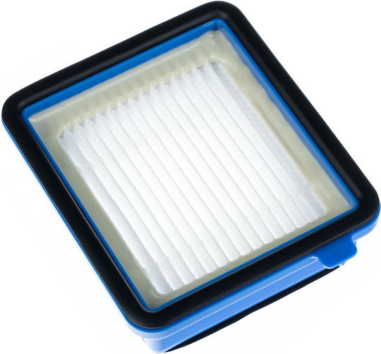 Rosfix Filtre pentru Aspirator Electric Compatibile cu Electrolux