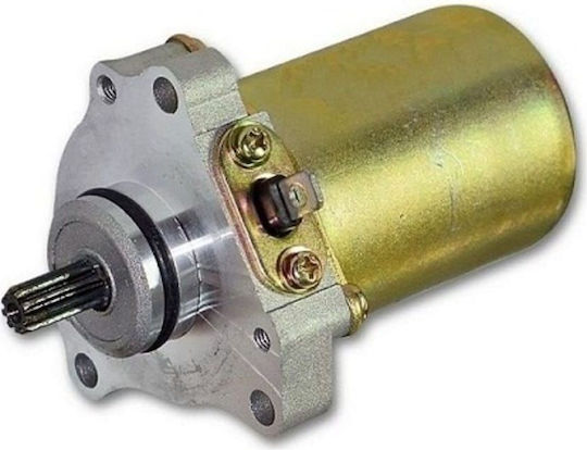W Standard Motorcycle Starter Motor for Kawasaki JOY-R for Modenas Kriss / X-CITE 100975