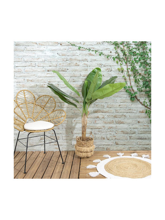 Μπανανιά σε Γλάστρα 120cm The Home Deco Factory