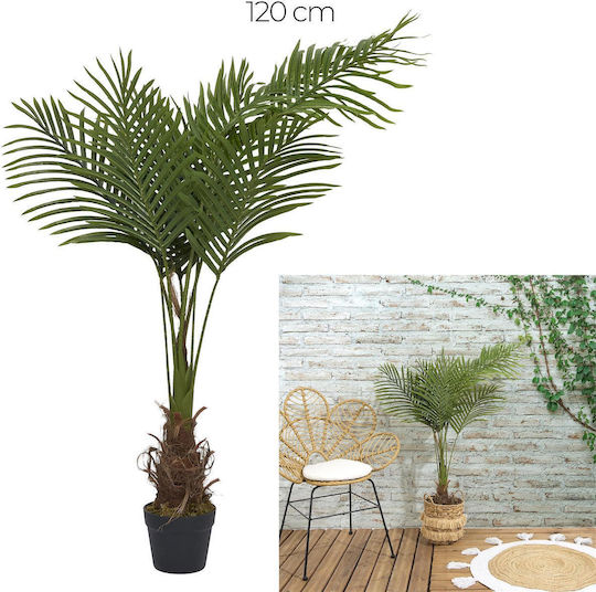Φοίνικας σε Γλάστρα 120cm The Home Deco Factory