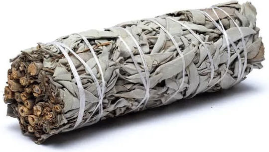 White Sage Smudge Stick 10χ3cm 2 Ραβδιά Θυμιάματος Λευκό Φασκόμηλο