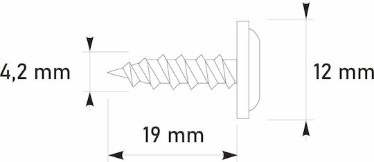 Etanco Βίδα με Διάμετρο M4.2 και Μήκος 19mm 250τμχ