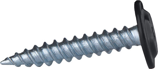 Etanco Screw with Diameter M4.2 and Length 19mm 250pcs